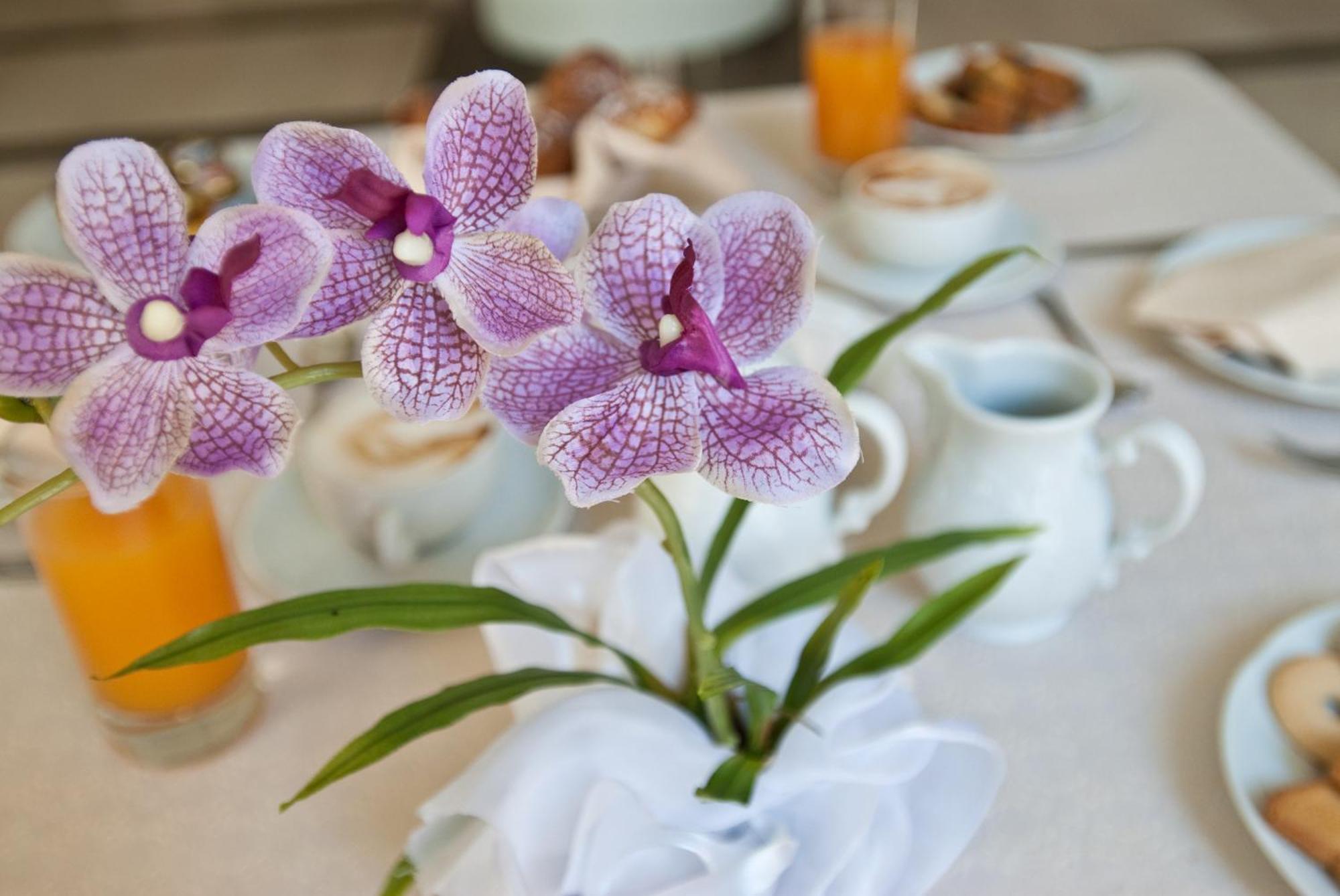 Hotel San Domenico Al Piano Matera Ngoại thất bức ảnh